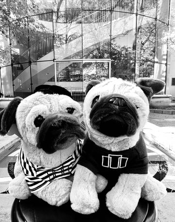 Bijou & Bonbon French Pug Pair