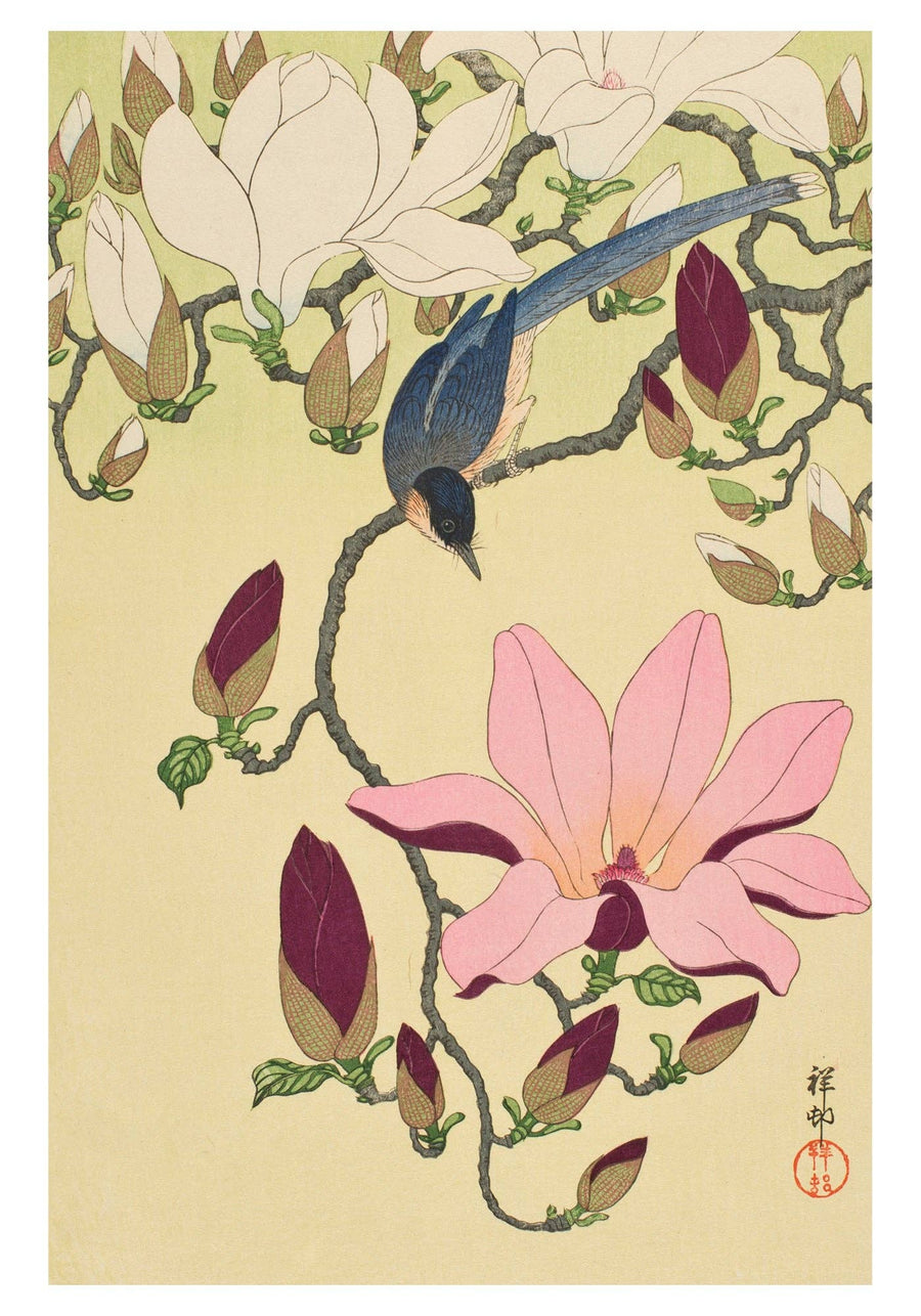 Ohara Shōson: Magnolia and Magpie Small Boxed Cards