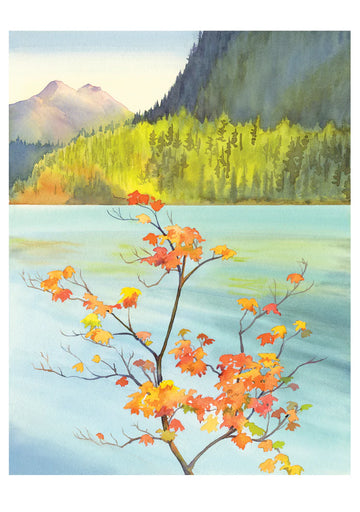 Molly Hashimoto: Vine Maple Notecard