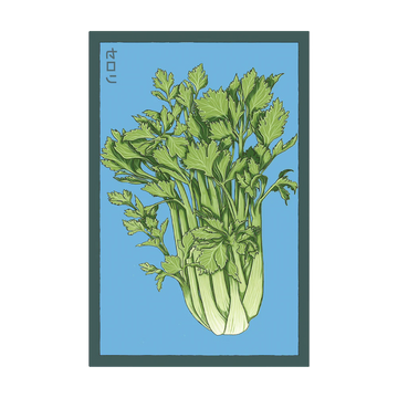 Celery Vegetable Seeds Packet