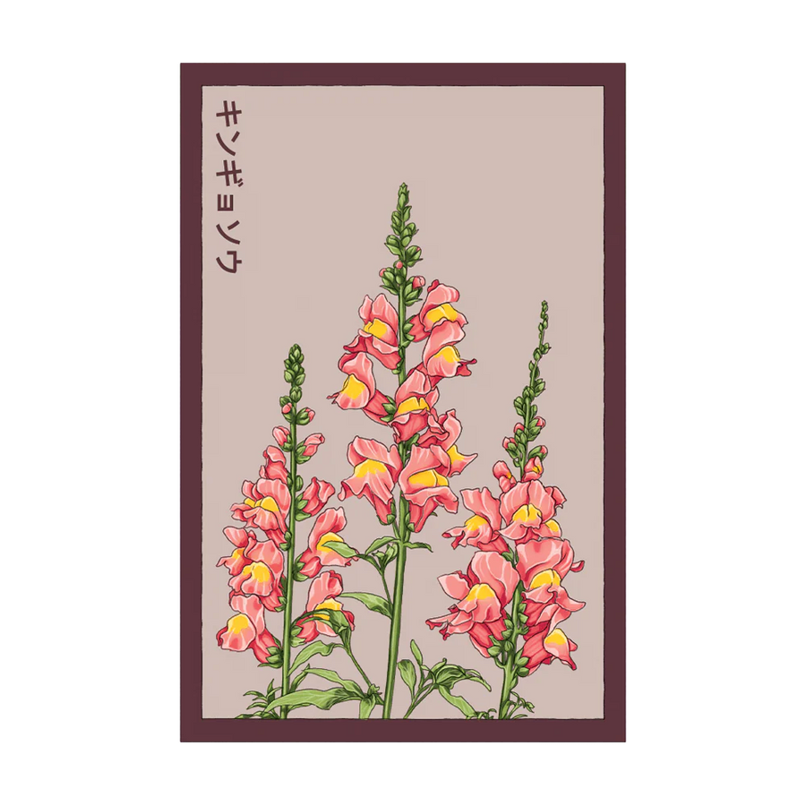 Snapdragon Flower Seeds Packet