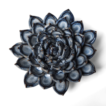 Ceramic Flower Wall Art Collection 6 Succulent Blue