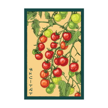 Cherry Tomoto Vegetable Seeds Packet