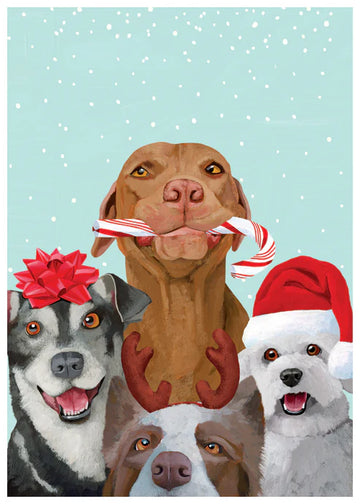 Dog Pals Boxed Holiday Cards