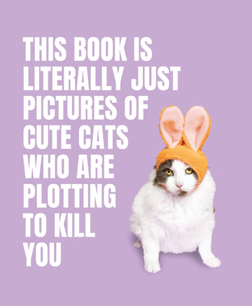 This Book is Literally Just Pictures of Cure Cats Who Are Plotting to Kill You