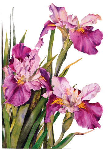 Louisiana Iris Sympathy Card