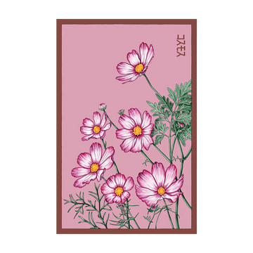 Cosmos Flower Seeds Packet