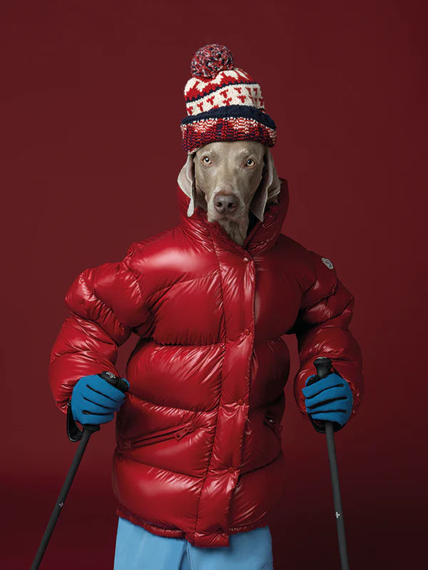 Chromotherapia: Feel-Good Color Photography