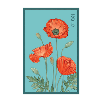 Corn Poppy Flower Seeds Packet