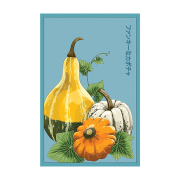 Funky Squash Vegetable Seeds Packet