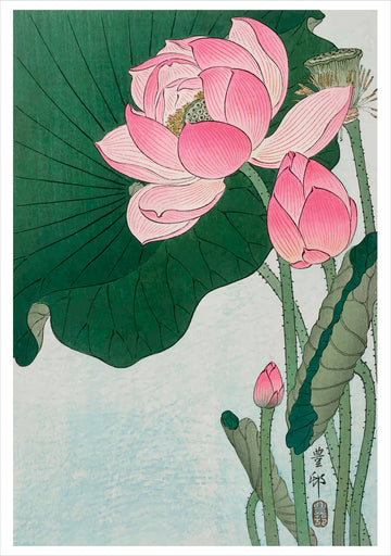 Ohara Koson: Blooming Lotus Notecard