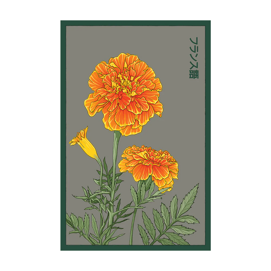 French Marigold Flower Seeds Packet