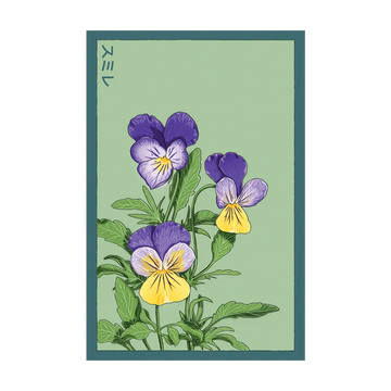 Pansy Flower Seeds Packet