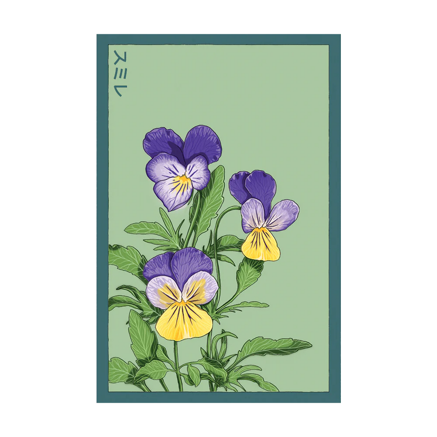 Pansy Flower Seeds Packet