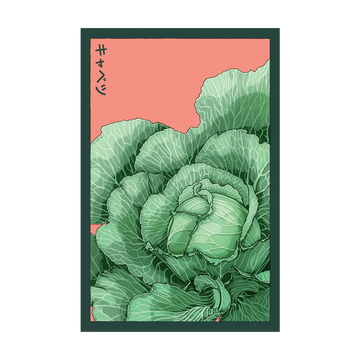 Cabbage Vegetable Seeds Packet