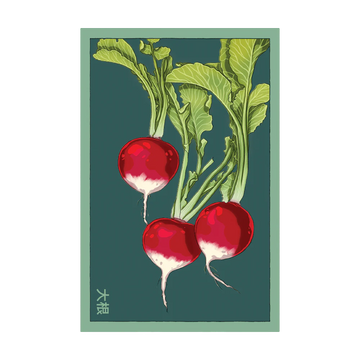 Radish Vegetable Seeds Packet