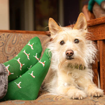 Save Dogs Socks: Spotted Doggos MEDIUM Green