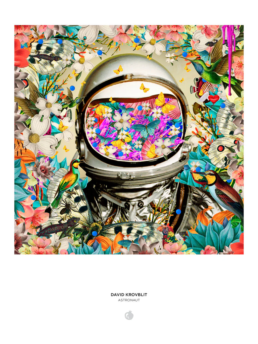 David Krovblit: Astronaut 1000-Piece Jigsaw Puzzle