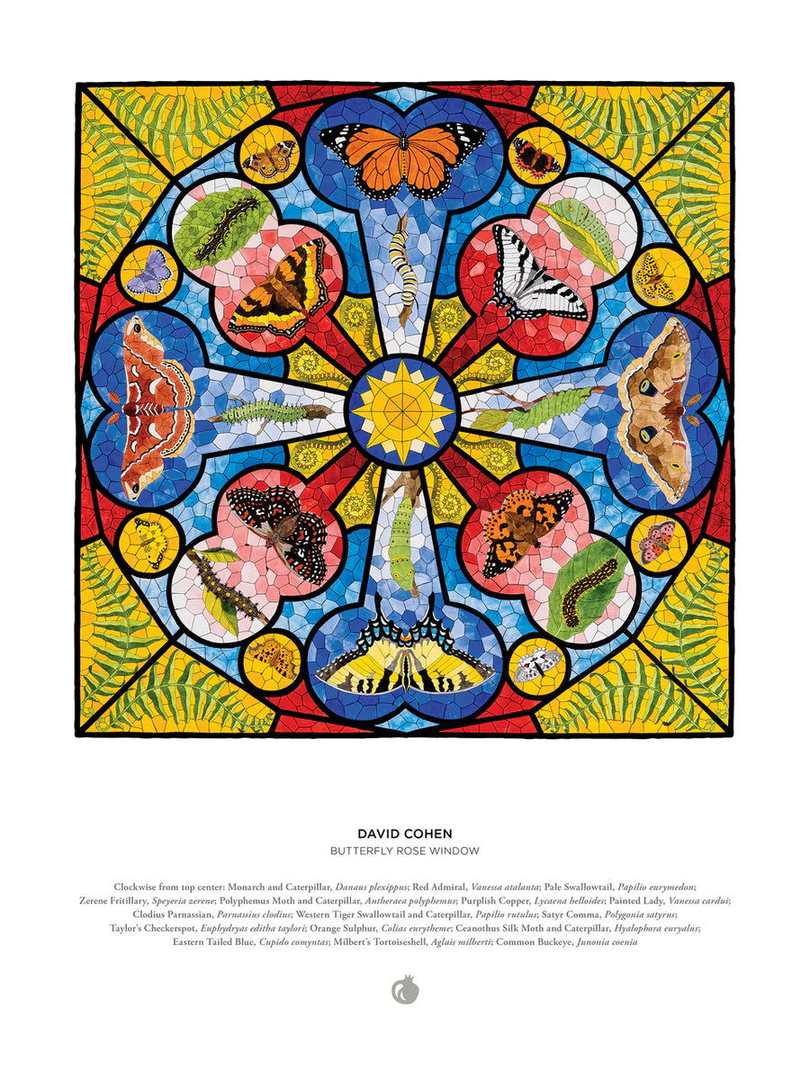 David Cohen: Butterfly Rose Window 1000-Piece Jigsaw Puzzle