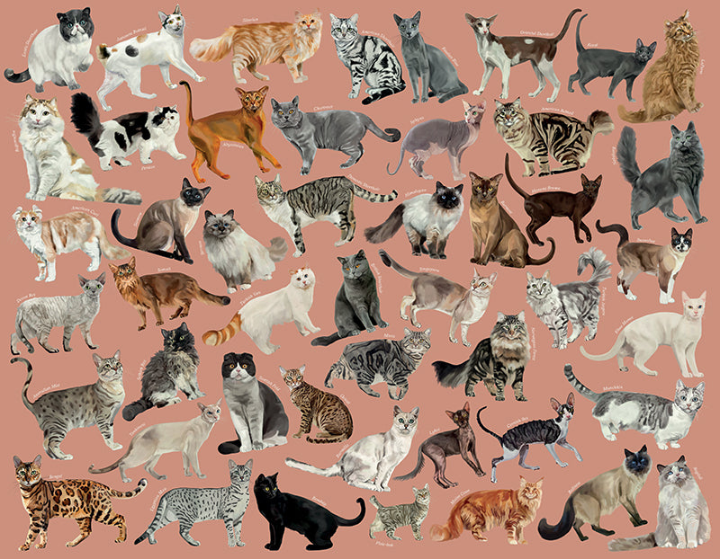 Iconic Cats 1000 Piece Puzzle