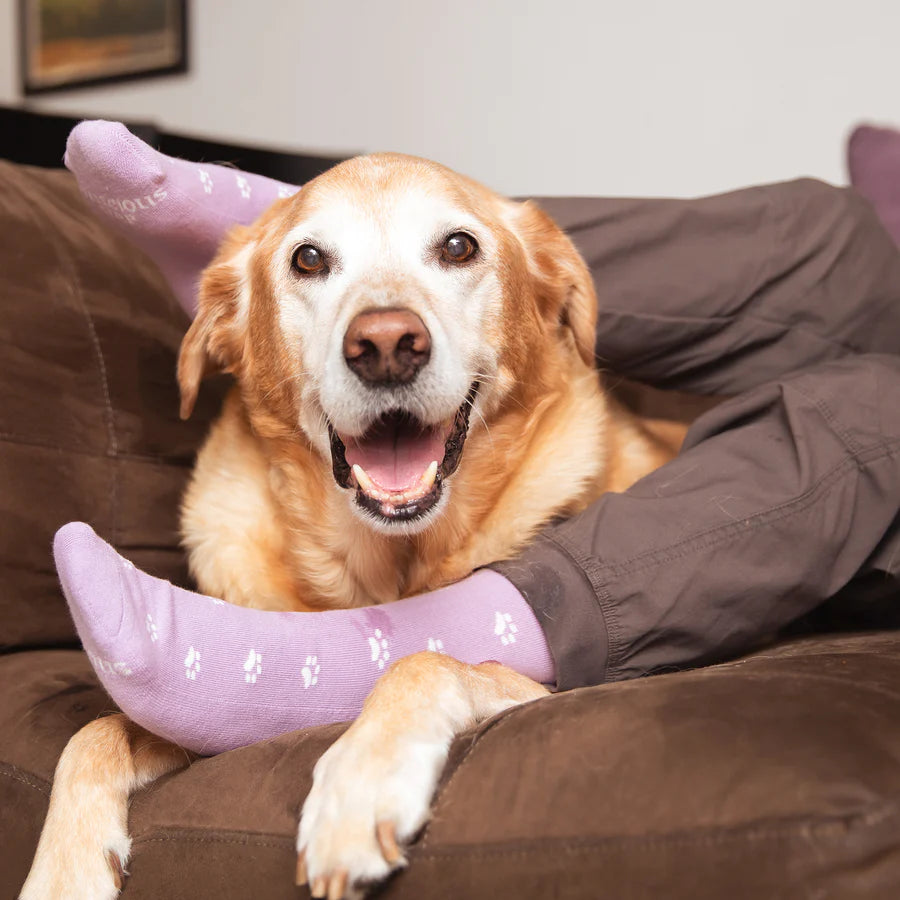 Save Dogs Socks: Playful Paws SMALL Mauve