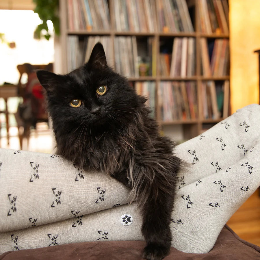 Save Cats Socks - Clever Kittens MEDIUM Grey