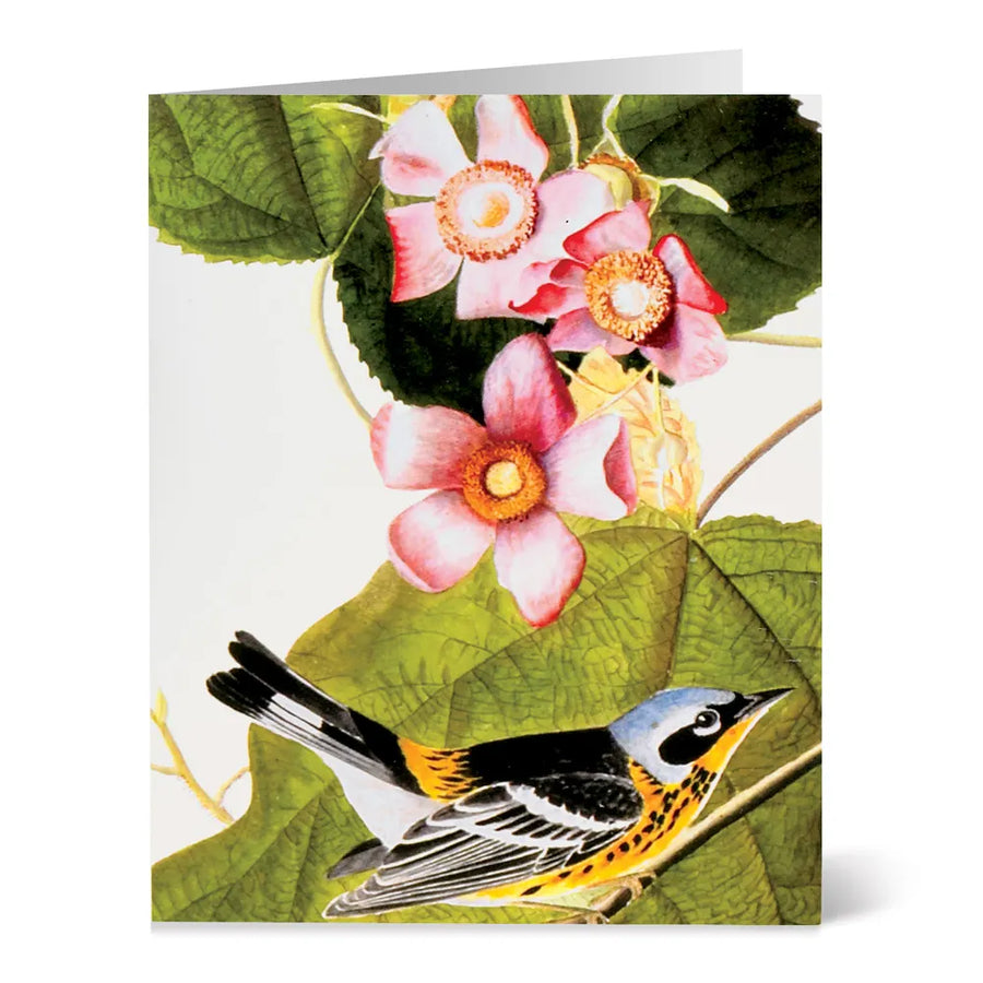 Audubon Birds Notecards