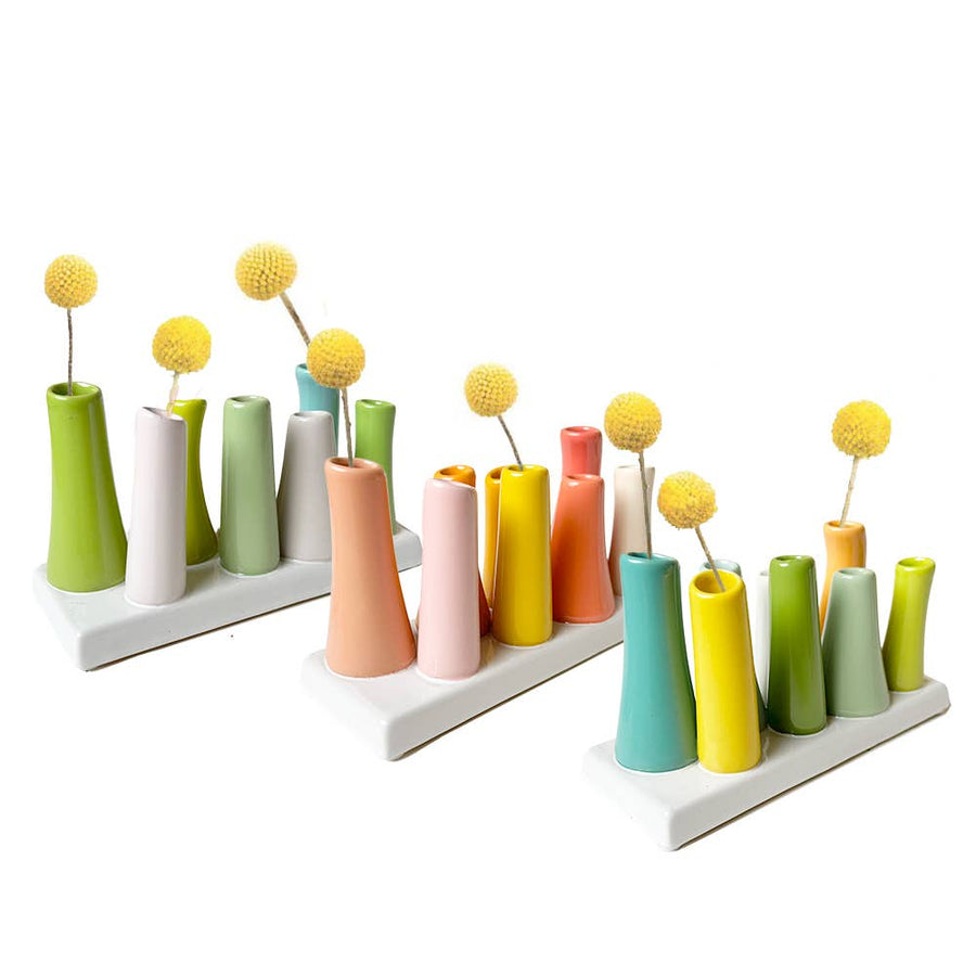 Pooley Modern Bud Vase For Flowers: Macaw