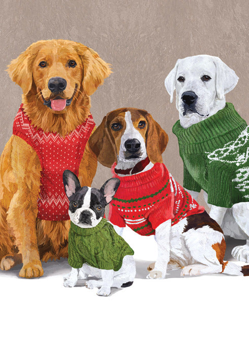 Dogs in Sweaters Holiday Cards