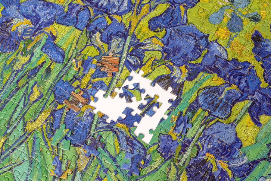 Vincent van Gogh: Irises 1000 Piece Puzzle