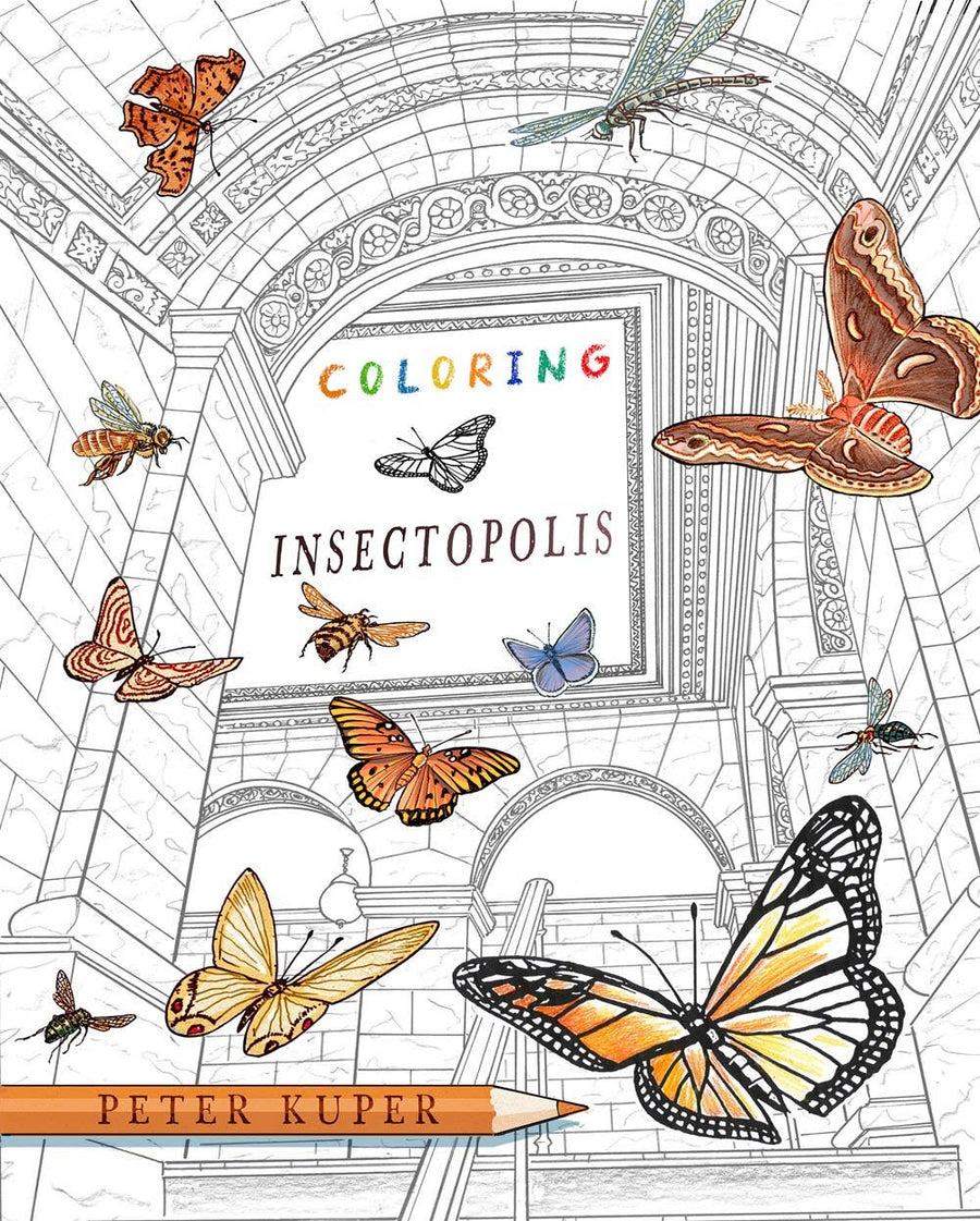 Coloring Insectopolis