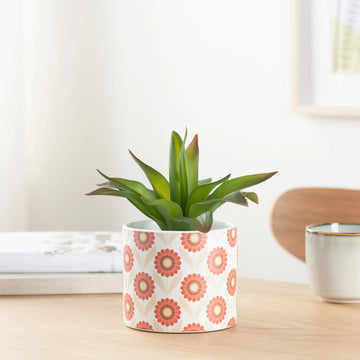 Gazebo Daisy Motif Ceramic Drop Pot Planter 4.5