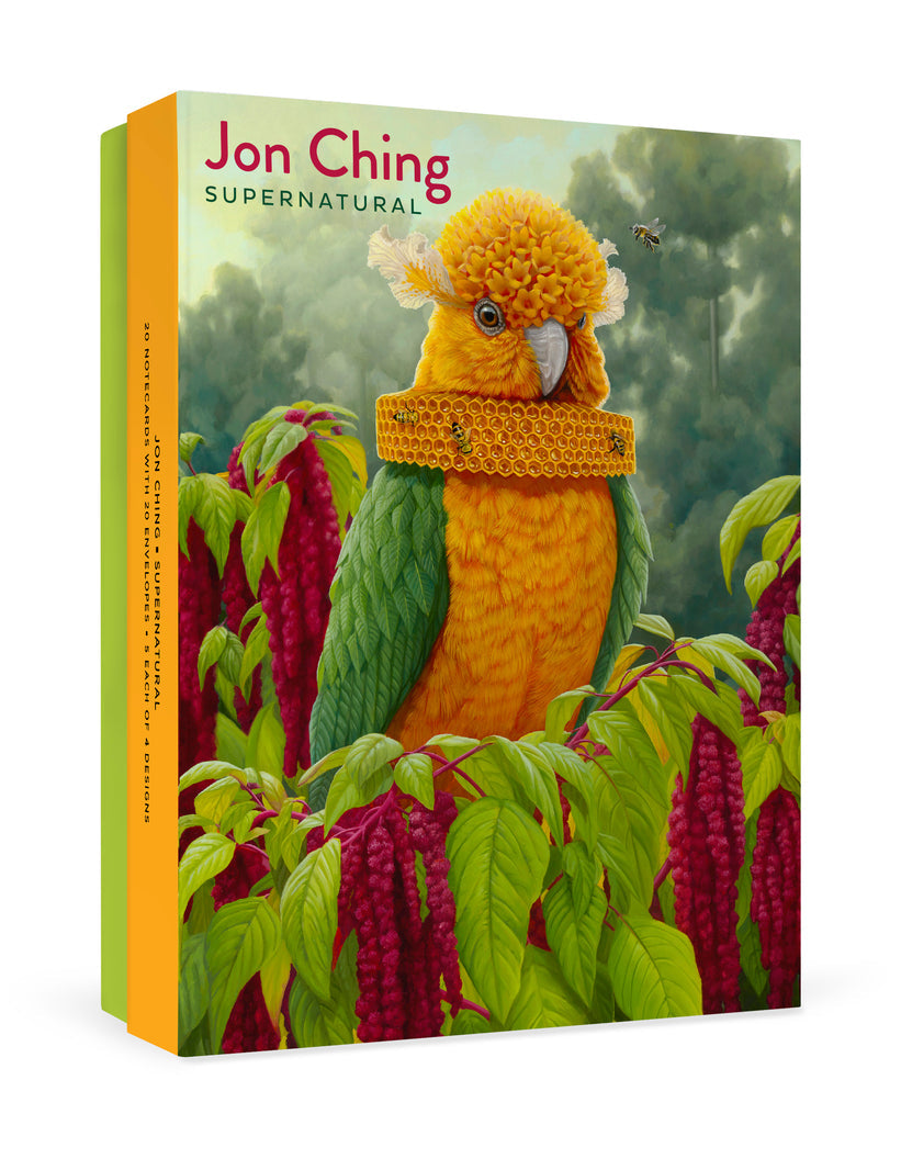 Jon Ching: Supernatural Boxed Notecard Assortment